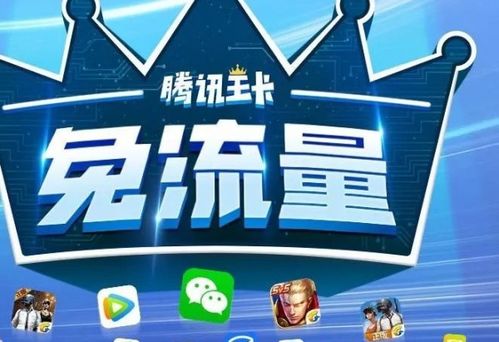 联通固定流量卡19元，划算又实用的通信选择