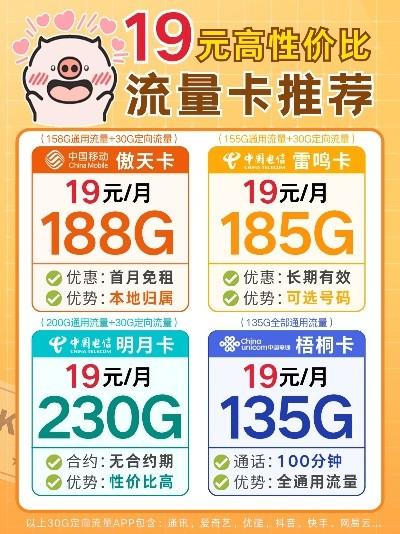 长沙雨花区19元流量卡，划算又实用的通信选择