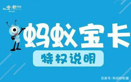 流量卡 可选号19元，为什么它是你的最佳选择？