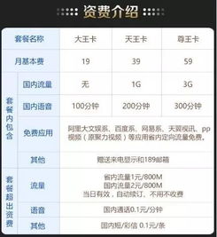 19元花卡宝藏版，超值流量套餐的全面解析