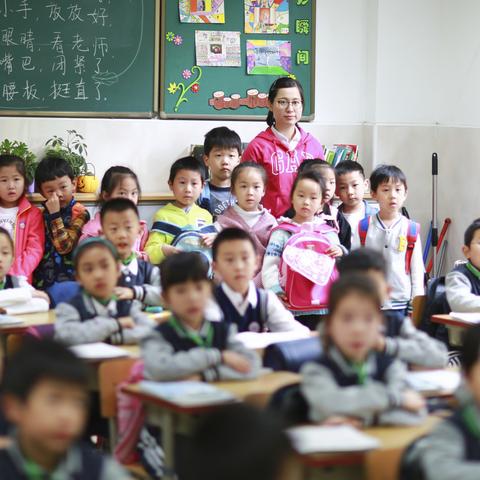 深圳电信卡19元流量卡，超值套餐解析与使用指南