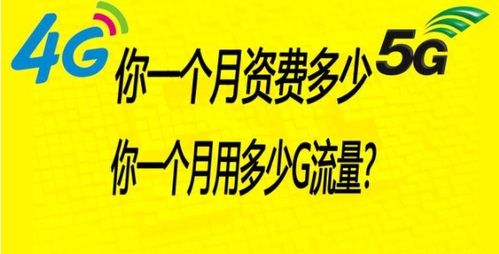 星卡19元流量套餐解析，19元能用多少流量？