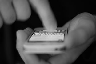 铁力电信流量卡19元，超值套餐解析与使用指南