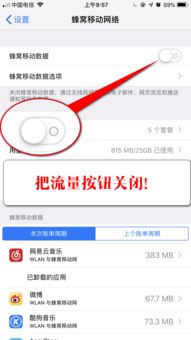 厦门电信流量卡19元，超值套餐解析与使用指南